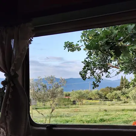 Caravane Olivia Au Milieu Des Chevaux Avec Bain Nordique * Palau-del-Vidre