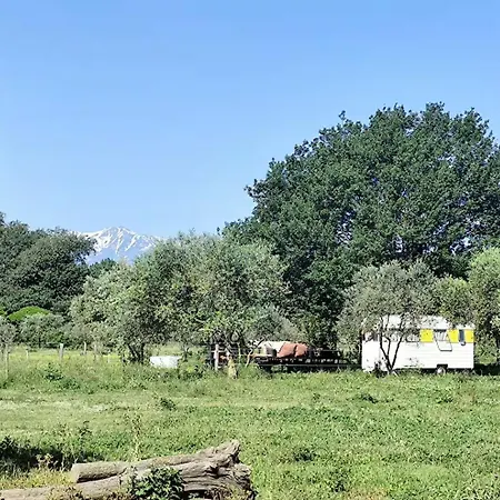 אתר קמפינג Caravane Olivia Au Milieu Des Chevaux Avec Bain Nordique Palau-del-Vidre