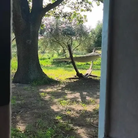 Caravane Olivia Au Milieu Des Chevaux Avec Bain Nordique אתר קמפינג Palau-del-Vidre