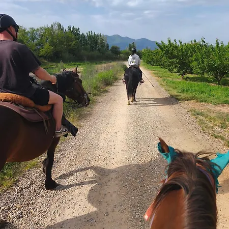 Caravane Olivia Au Milieu Des Chevaux Avec Bain Nordique