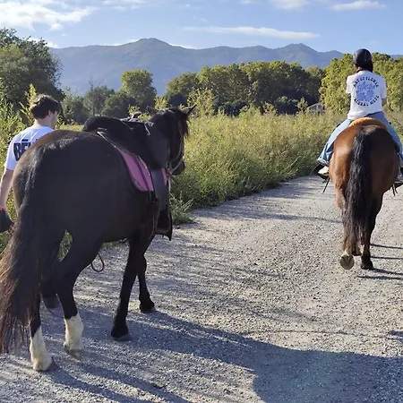 Caravane Olivia Au Milieu Des Chevaux Avec Bain Nordique אתר קמפינג