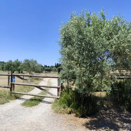 Caravane Olivia Au Milieu Des Chevaux Avec Bain Nordique *