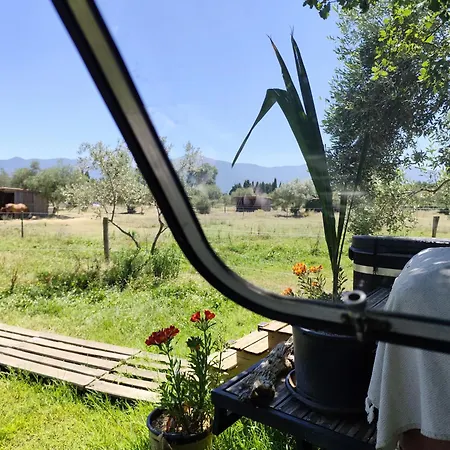 Campingplatz Caravane Olivia Au Milieu Des Chevaux Avec Bain Nordique